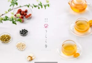 薬膳茶の開発、販売、業務全体の周知、クラウドファンディング出品の画像