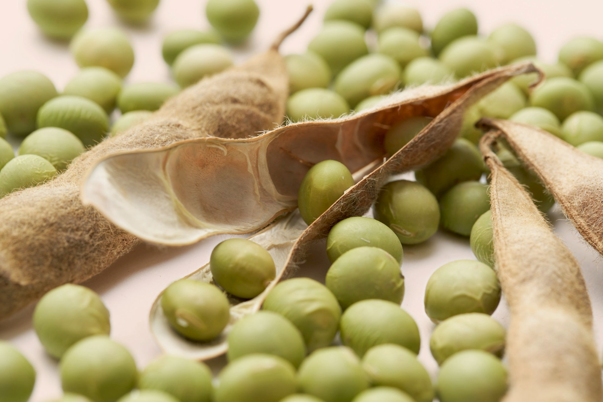 長野県産農産物を核とした中条地域発の6次産業化事業の画像